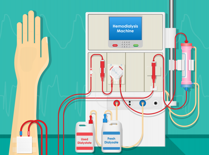 Explain the Control of Nitrogen Levels in the Body Worksheet - EdPlace